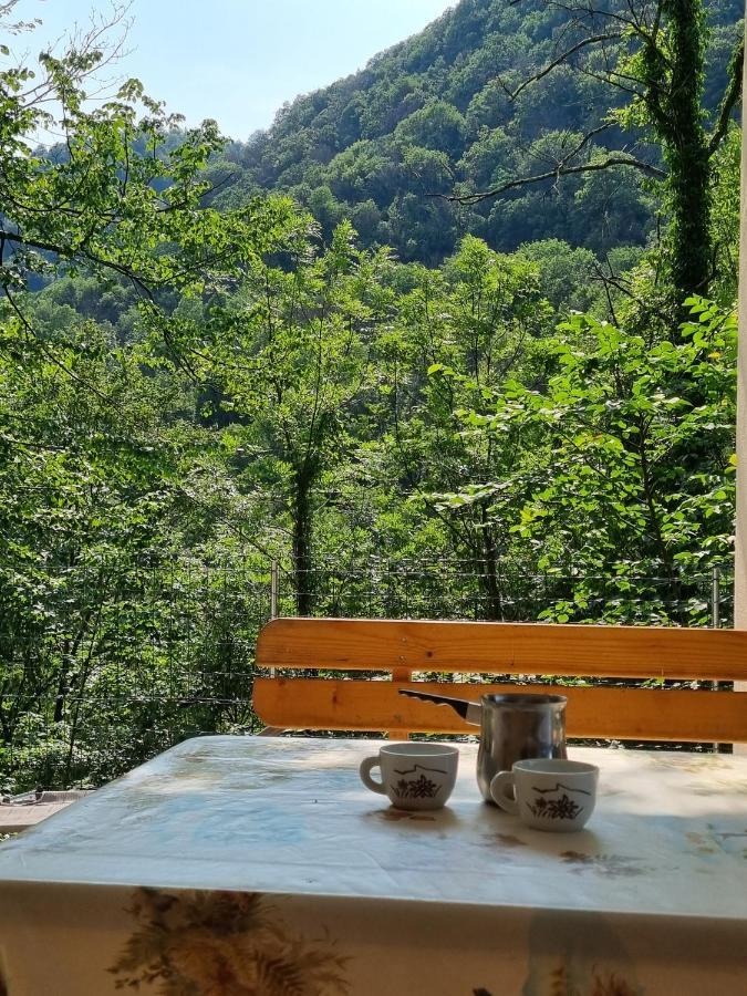 Glamping House ˇvitaˇ Ξενοδοχείο Tolmin Εξωτερικό φωτογραφία